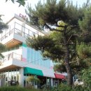 파라디조 이미지