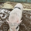 찬우물농장 이미지