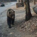 종명랜드 이미지