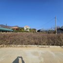 배산목장 이미지