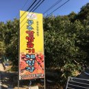 제1 농장 이미지