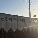 느루B&P