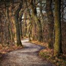 스마트폰으로 챗GPT 활용하기 이미지