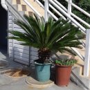 젤마나 민박 이미지