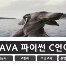 웹프로그래밍-C 언어 입문 이미지