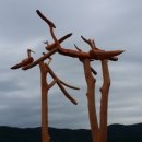 쪽빛나라 이미지