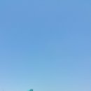 서영이네여주