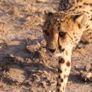 지토농장 이미지