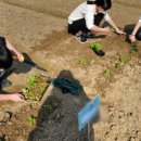 양수농장2 이미지