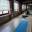 바디라인 피트니스 이미지