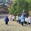 대구대 비호동산 숲체험!!🍂🐿🍁가을 낙엽놀이 나무블록놀이!!🍂🍁🍄🌳 이미지