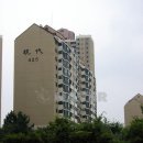 분당초교 앞 이미지