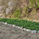 명현농장 이미지