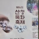 2024년 제16회 산청 목화 축제 후기