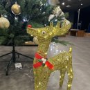 키움골프GDR아카데미 문정점 이미지