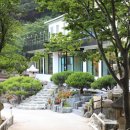 카페 담 이미지