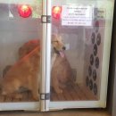 넘버원펜션 이미지