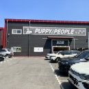 퍼피플 오산점 이미지