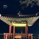 VISA이민행정사 이미지