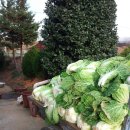 영섭농장 이미지