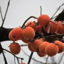 너른마당 이미지