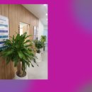 풀과 나무 의원 이미지