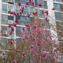 수로왕릉역 이미지