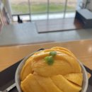에이프레임(AFRAME) | [강원/고성] 대형카페 에이프레임 망고빙수 먹은 후기