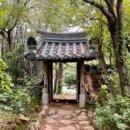 구례밀밭 이미지