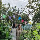 살구나무집민박 이미지