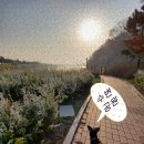 찬들공원 이미지