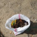 공산초교병설 이미지