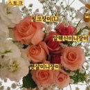 플로랄데이즈 이미지