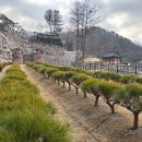 선택목장 이미지