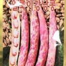 동원종묘농약사 이미지