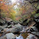 가을여행지추천- 가을여행 갈만한 곳 - 한국관광 공사 추천 이미지