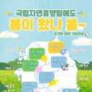 복수북로 이미지