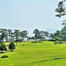 양철수 국장 정심회 나들이(거제도, 저도) - 풍경 사진 이미지