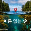 바다숲