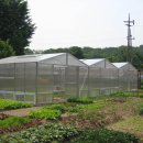 인의농장 이미지