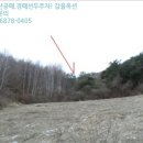 횡성 강림면사무소 이미지