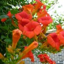 양서체육공원 이미지