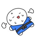 세종 나성 유도관 이미지