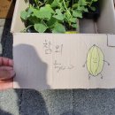 진주팜농약 이미지