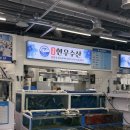 현우 | 삼척항 회센터 현우수산 후기｜자연산 문어, 멍게·세꼬시, 해삼이랑 가리비, 골뱅이까지 싱싱한 솔직후기