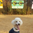 부개종합동물병원 이미지