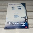 파란 DVD