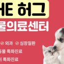허그동물의료센터 이미지