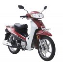 디앤에이 주식회사 이미지