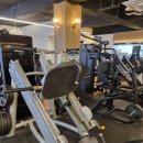 레벨업휘트니스 이미지